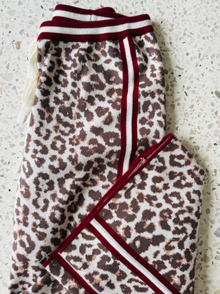 Leopard Knit Racer Pants Bottoms Ebby and I