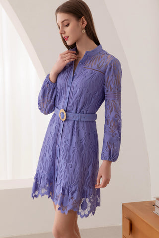 Tammy Lace Mini Dress - Purple Dresses GDS   