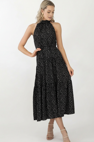 Amelia Maxi Dress- Black/White Dresses Sage Collective
